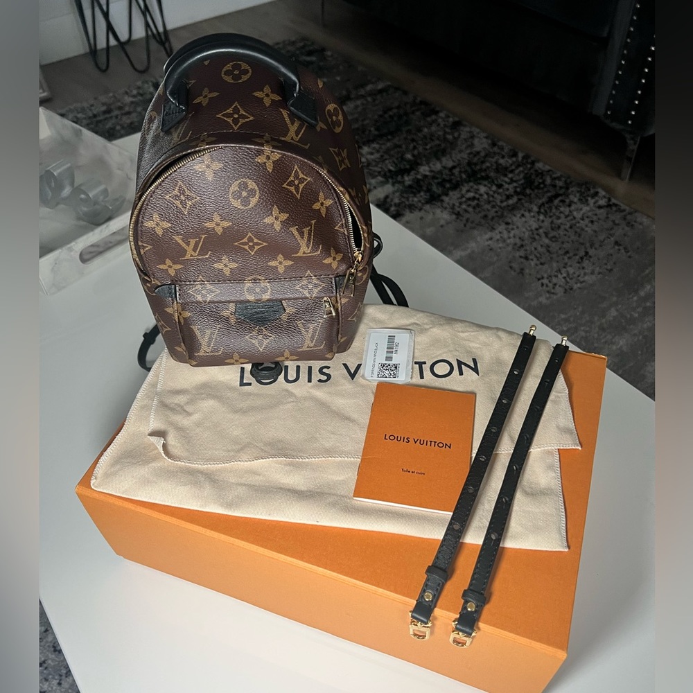 Louis Vuitton Palm Springs mini backpack monogram